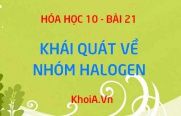 Nhóm Halogen là gì? Cấu tạo phân tử nhóm Halogen và sự biến đổi độ âm điện của nhóm Halogen - Hóa 10 bài 21